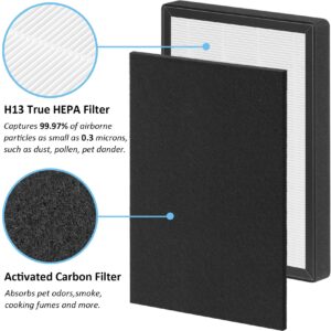 ProHEPA 9000 True HEPA Filters Replacement Compatible with VEVA ProHEPA 9000, 4 True HEPA Filters