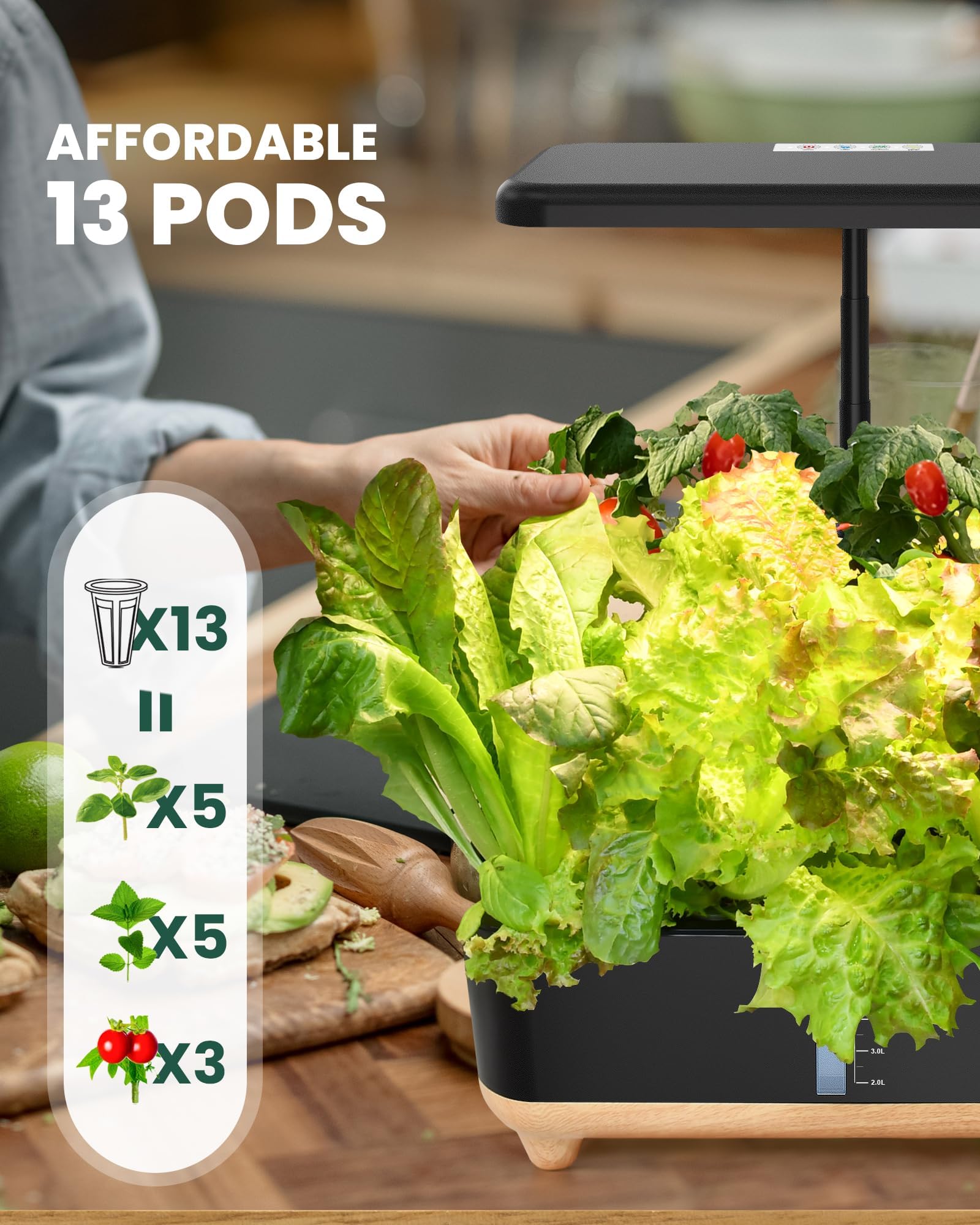 RAINPOINT Indoor Hydroponics Growing System,13 Pods Hydroponic Garden Planter, Vegetable Growing System Kit, Kitchen Christmas Gifts for Women, Hydro Garden Herb Grower