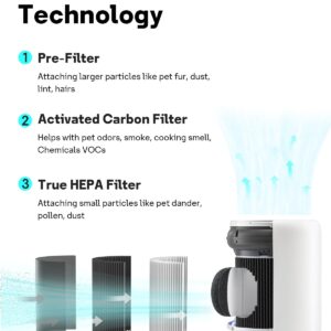 Leemone H13 True Air Mini Filter Replacements Compatible with Molekule Air Mini & Air Mini + Air Purifiers, 3-in-1 High-Efficiency True HEPA Replacement Filter, 2 Pack