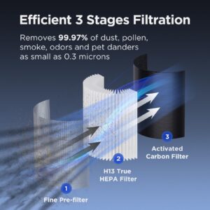 MOOKA B-D02L Air Purifier (Filter pre-installed) & 2 Pack Extra Official Certified Replacement Filter