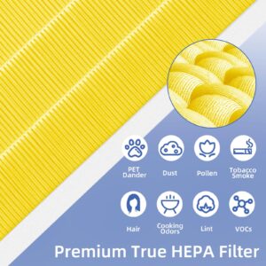 116131 True HEPA Replacement Filter I for Winix C555 5500-2 Plasmawave Air Purifier,2 Pack H13 True HEPA Filters and 2 Pack Activated Carbon Filter Combo Pack