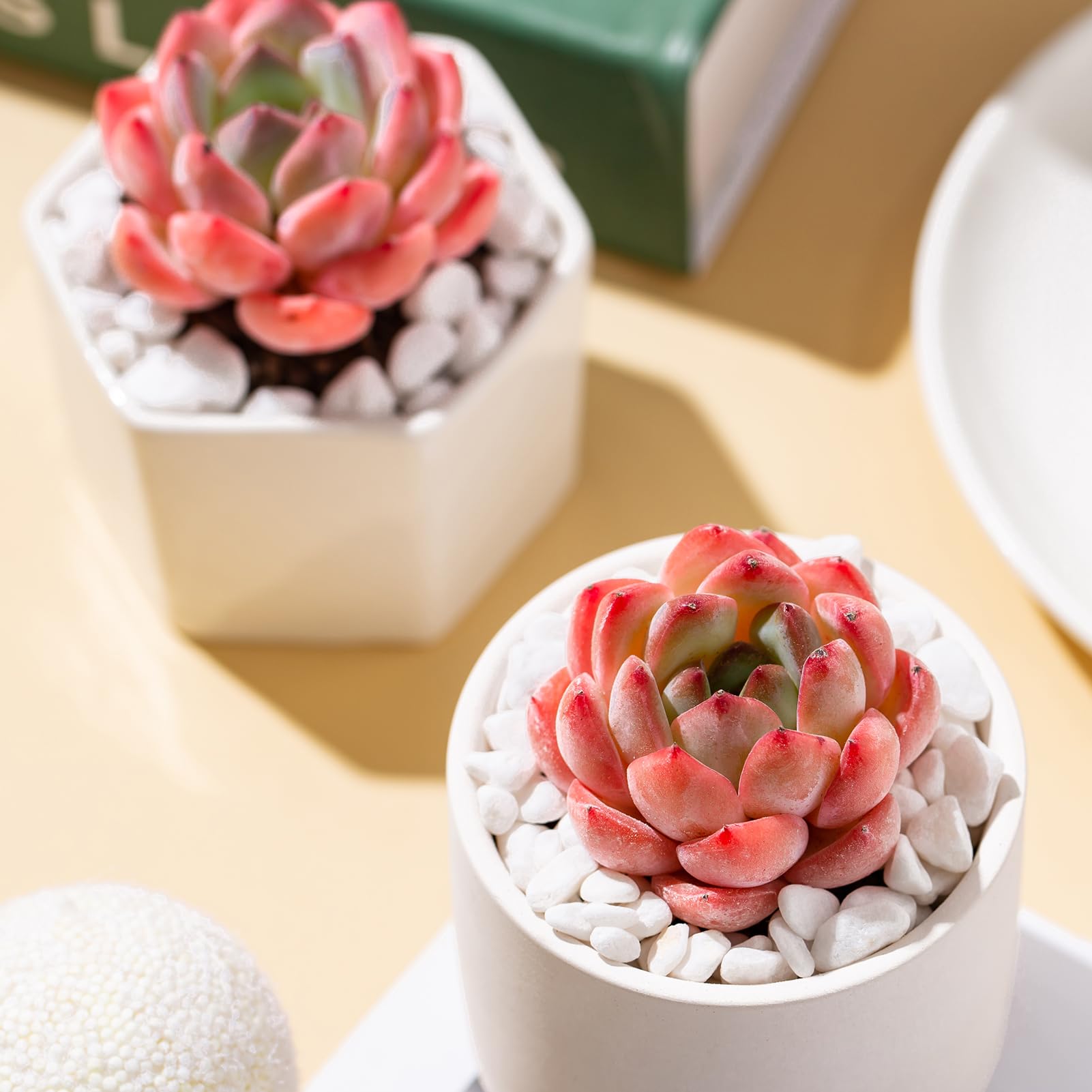 Echeveria Strawberry Almond Rare Live Succulent Plants, Mini Pink 1 Head 2" Live Plant, Package Without Pot Soil, Garden Indoor Office Desk Wedding Party Baby Shower Decoration Friend Plant Lover Gift