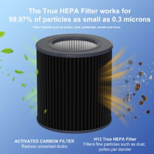 Ganteny Air Mini Replacement HEPA Filter Compatible with Molekule Tri-Power Air Mini & Air Mini + Air Cleaner Purifiers, 3 in 1 High-Efficiency Filtration System with Activated Carbon, 1 Pack