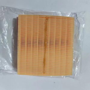 BANGTE 2175273 Air Filter Replacement For Kohler engines 435, 435B1, 435V, 6LD401B1, 6LD401MG, 6LD435,replace ED2175273 2175272 5502175096 SA17096