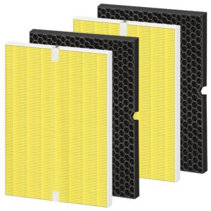 116131 true hepa replacement filter i for winix c555 5500-2 plasmawave air purifier,2 pack h13 true hepa filters and 2 pack activated carbon filter combo pack