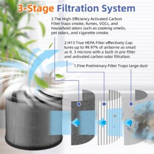 A230 Replacement Filter O for Winix A230 and A231 Air Purifier,3 in 1 H13 True HEPA High-Efficiency Activated Carbon Filter.Compare to Part # 1712-0110-00, 1712011000,2 Pack