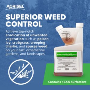 Agrisel GlyPhoSel Pro Weed Killer, Tackles Hard-to-Kill Weeds, Low-Odor, Easy Mixing, Pet Safe, Includes 3-Pack of Agrisel Protective Gloves, 32 Ounces