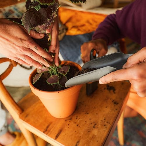 Fiskars Planting Soil Scoop and Brush Set Garden Tool for Indoor Gardening, Mess Control for Transplanting and Repotting, Made with Recycled Plastic