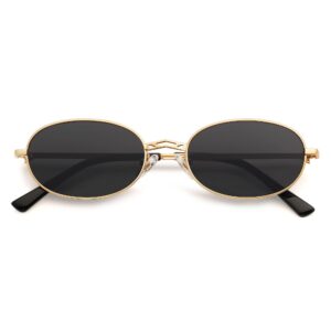 appassal retro oval sunglasses for women men trendy designer 90s sun glasses classic shades ap3662 gold/grey