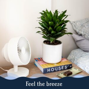 Windmill NEW to Amazon Smart Air Circulator and Fan with Remote and Wi-Fi/App - 18 dB Whisper-Quiet plus Tri-Layer Airflow