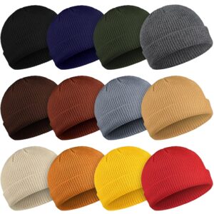 Geyoga 12 Pieces Trawler Beanie Hats Knit Cuff Beanie Roll-Up Edge Skull Cap Fisherman Beanie for Men Women (Bright Color)