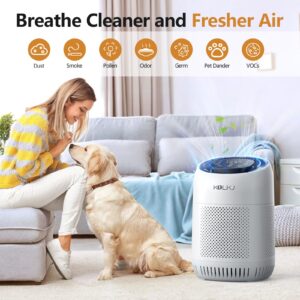 KQLKJ Air Purifiers for Home Room Up to 1076ft², Air Cleaner for 99.99% of Odor, Pollen, Smoke, Dust, Dander, Air Quality, Temperature & Humidity Display, Timer, AUTO Mode, Sleep Mode