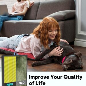 Leemone 2 Pack Vital 200S-P Pet Allergy Replacement Filter Compatible with LEVOIT Vital 200S Air Purifier, 3-in-1 H13 True HEPA Activated Carbon Filter, Vital 200S-RF-PA (LRF-V201-YUS), Yellow