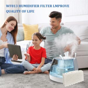 DFD 4-Pack WF813 Humidifier Filter Compatible with Equate Eqwf813 Eq-2119-Ul,Replacement for ReliOn RCM-832,RCM-832N and ProCare PCWF813 Cool Mist Humidifiers Wick Filters