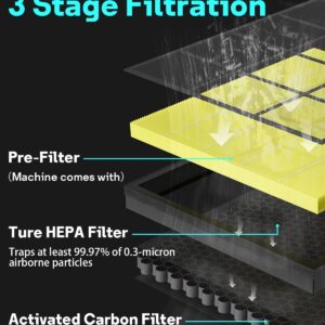 Leemone 2 Pack Vital 200S-P Pet Allergy Replacement Filter Compatible with LEVOIT Vital 200S Air Purifier, 3-in-1 H13 True HEPA Activated Carbon Filter, Vital 200S-RF-PA (LRF-V201-YUS), Yellow