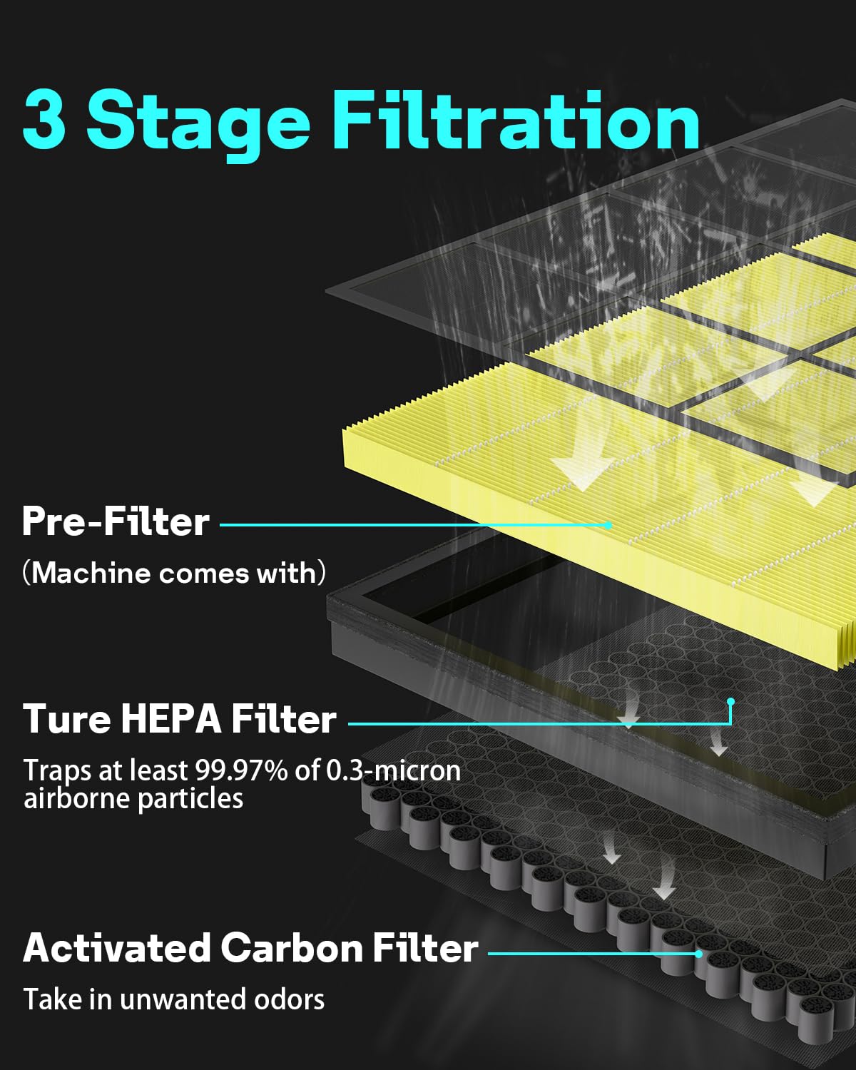 Leemone 2 Pack Vital 200S-P Pet Allergy Replacement Filter Compatible with LEVOIT Vital 200S Air Purifier, 3-in-1 H13 True HEPA Activated Carbon Filter, Vital 200S-RF-PA (LRF-V201-YUS), Yellow