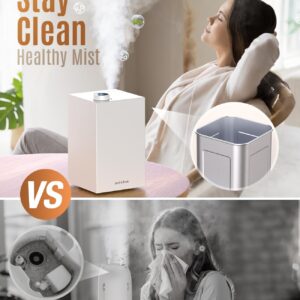 Stainless Steel Humidifier, Easy to Clean Humidifier, Dishwasher Safe Humidifiers, Cool Mist Humidifiers for Bedroom