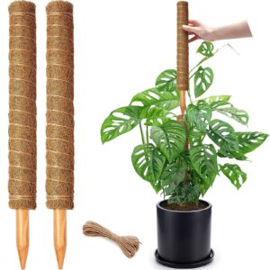 2 pack 17 inch moss pole, stackable moss poles for climbing plants monstera, tall plant sticks accessories, large coir plant support stakes for potted plants indoor, pothos, philodendron