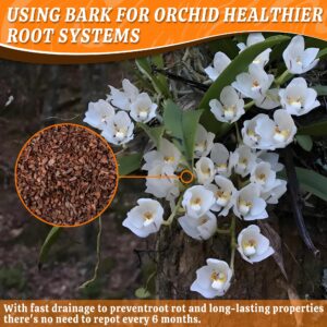 AVALUTION Orchid Potting Bark-3QT Organic Orchid Bark for Plants, All Natural Pine Bark Wood Chips Orchid Bark Potting Mix for Houseplant Mulch, Help Orchid Plants Root Health Development