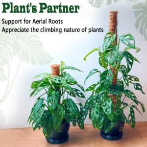 2 Pack 17 Inch Moss Pole, Stackable Moss Poles for Climbing Plants Monstera, Tall Plant Sticks Accessories, Large Coir Plant Support Stakes for Potted Plants Indoor, Pothos, Philodendron