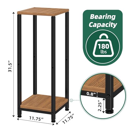 Simple Trending Plant Stand Indoor Corner Tall 2 Tier Metal Modern Flower Plant Shelf Holder, Heavy Duty Wood Storage Stand (2 Tier-Black)