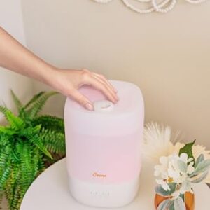 Crane Ultra-Quiet 3-in-1 Humidifier, Essential Oil Aroma Diffuser & Soothing Sleep Light - Compact 1 Gallon Capacity with Adjustable Night Light & Fragrance Tray - Ideal for Bedroom and Office