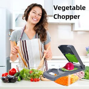 Vegetable Chopper,12-in-1 Multifunctional Veggie Chopper,Grey Kitchen Vegetable Slicer Dicer Cutter,Potato Onion Food Chopper with Vegetable Peeler,Hand Guard and Container