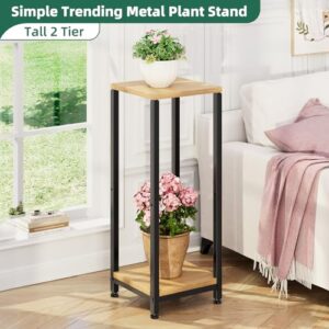 Simple Trending Plant Stand Indoor Corner Tall 2 Tier Metal Modern Flower Plant Shelf Holder, Heavy Duty Wood Storage Stand (2 Tier-Black)