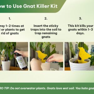 Kate's Home & Garden Plant Spray for Insects & Getting Rid of Gnats with 12 Gnat Sticky Traps. Fungus Gnat Killer & Gnat Control for Indoor Plants (16oz, Pet Safe, Non Toxic)