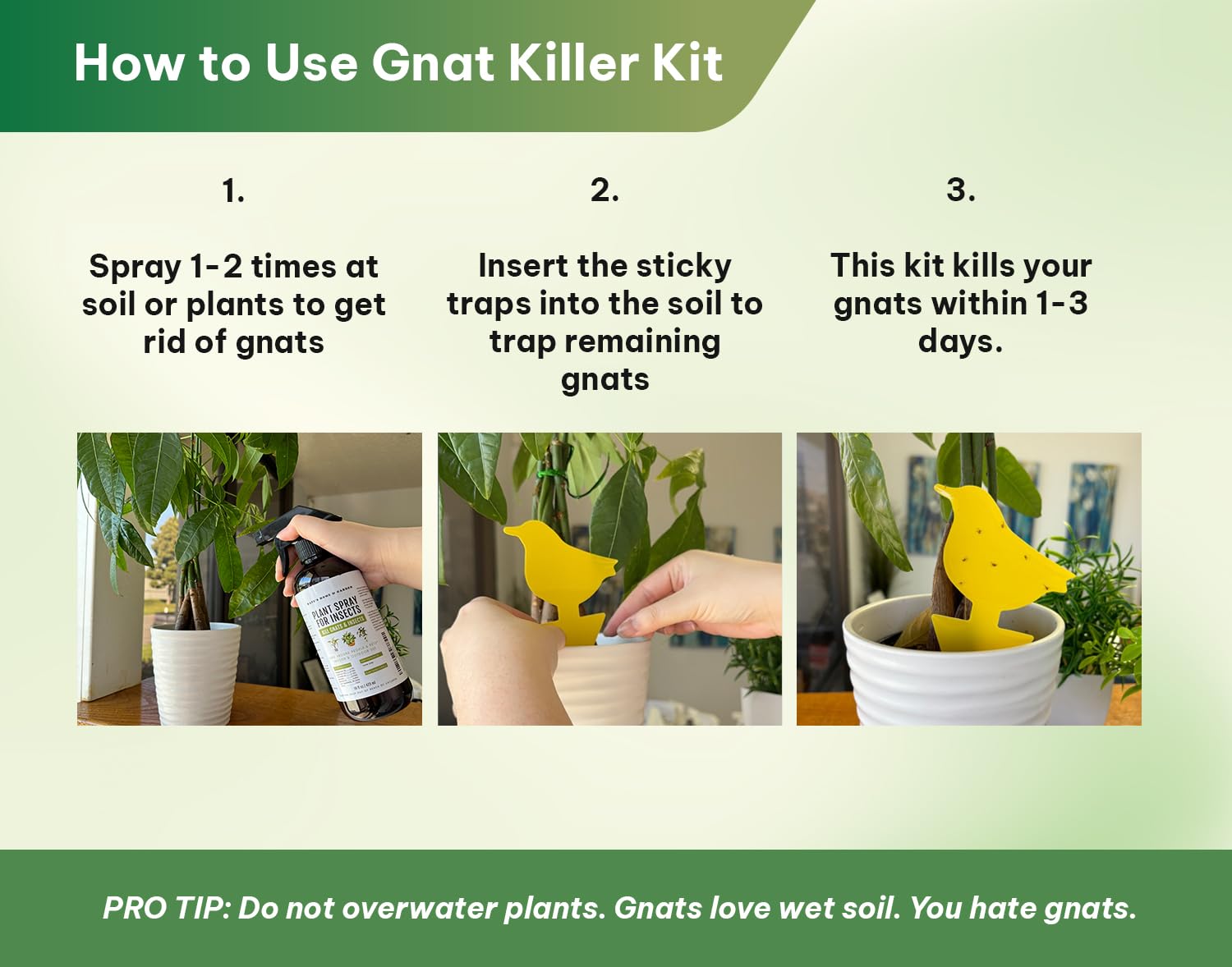 Kate's Home & Garden Plant Spray for Insects & Getting Rid of Gnats with 12 Gnat Sticky Traps. Fungus Gnat Killer & Gnat Control for Indoor Plants (16oz, Pet Safe, Non Toxic)