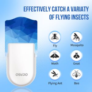 Flying Insect Trap Indoor, Plug in Fly Trap Indoor, Fruit Fly Trap with Blue-Purple Light Attracts Mosquito, Fly, Moth, Gnat, Sticky Glue Bug Trap - 500 Sq Ft of Protection (1 Device + 6 Refills)