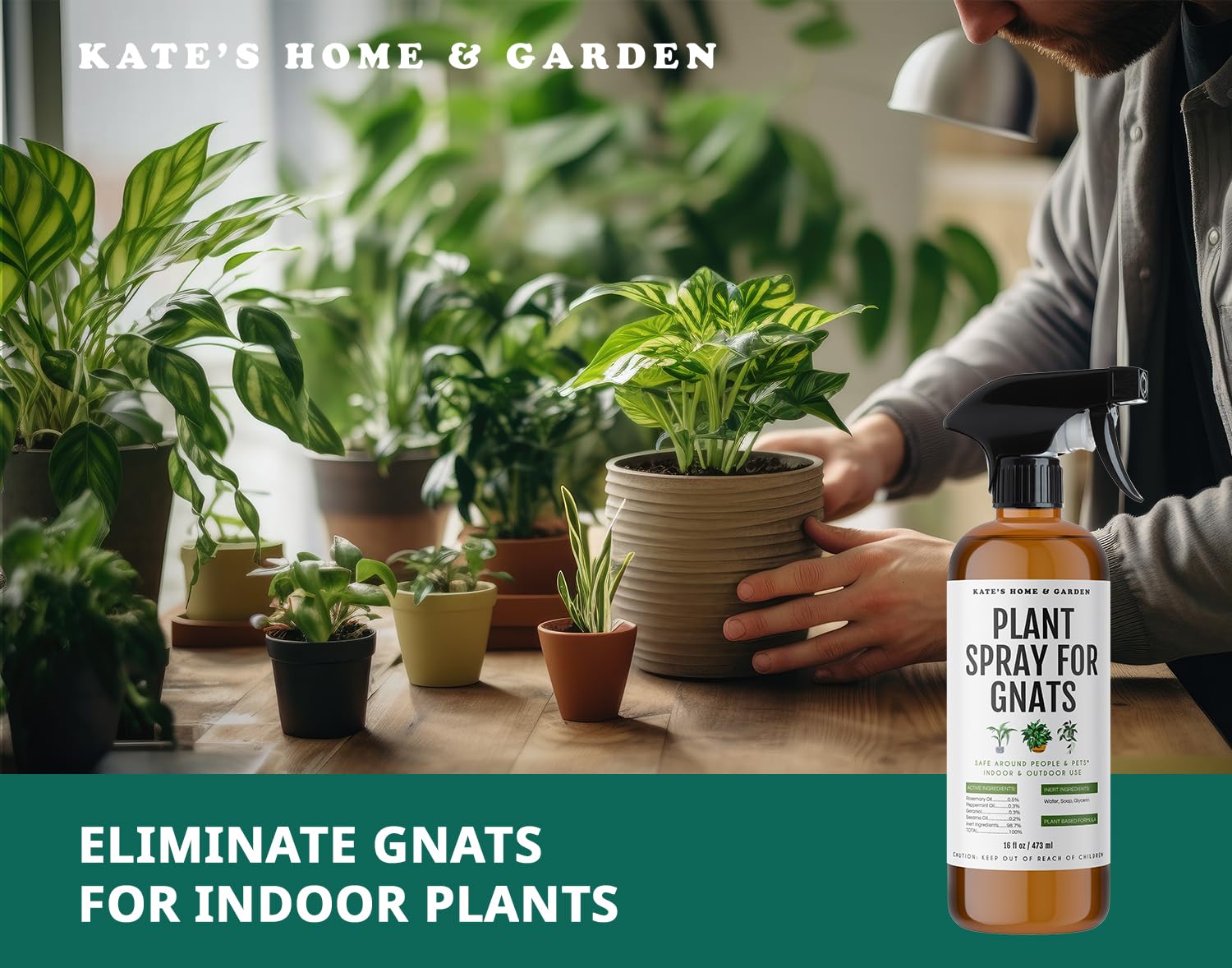 Kate's Home & Garden Plant Spray for Insects & Getting Rid of Gnats with 12 Gnat Sticky Traps. Fungus Gnat Killer & Gnat Control for Indoor Plants (16oz, Pet Safe, Non Toxic)