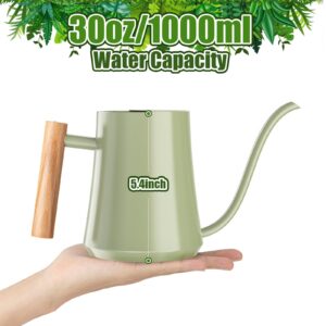 Watering Can Indoor Plants 35oz Sage Green Water Can Indoor Metal Small Water Can Pot with Long Spout for House Bonsai Plants Garden Flower Decorative