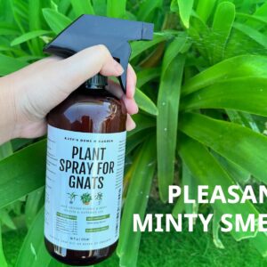 Kate's Home & Garden Plant Spray for Insects & Getting Rid of Gnats with 12 Gnat Sticky Traps. Fungus Gnat Killer & Gnat Control for Indoor Plants (16oz, Pet Safe, Non Toxic)