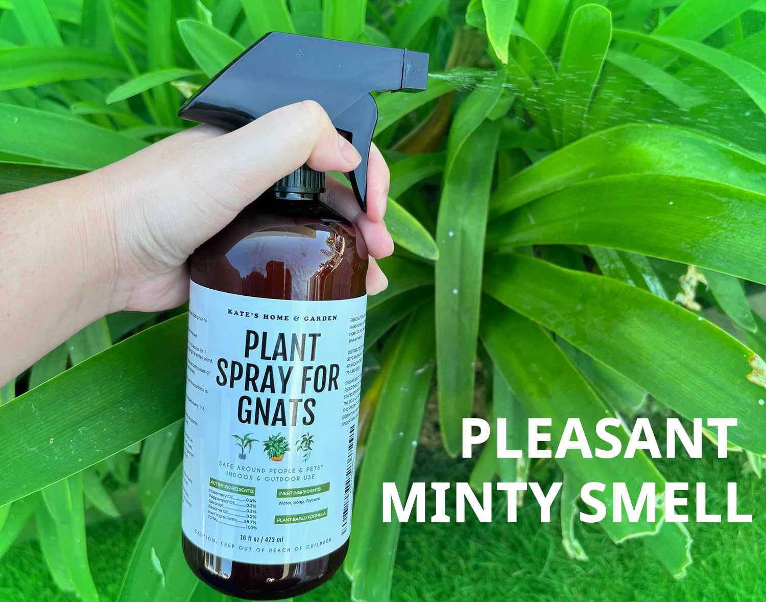 Kate's Home & Garden Plant Spray for Insects & Getting Rid of Gnats with 12 Gnat Sticky Traps. Fungus Gnat Killer & Gnat Control for Indoor Plants (16oz, Pet Safe, Non Toxic)