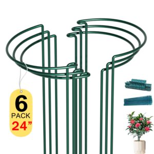 syitcun 6 pack peony cages and supports, 10" (w) x 24"(h) plant support, rust-proof metal plant support stakes for outdoor&indoor plants, bonus 20 plant clips and 20 plant ties