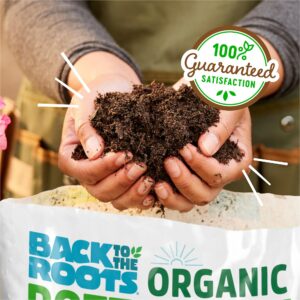 Back to the Roots 100% Organic Potting Mix (6 Quart) | Premium Blend | Made in The USA