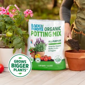 Back to the Roots 100% Organic Potting Mix (6 Quart) | Premium Blend | Made in The USA