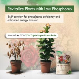 Triple Super Phosphate 0-46-0 Fertilizer, High Phosphorus Fertilizer for Stronger Roots & Flower Formation, Ideal Super Phosphate Fertilizer for Plants - Flowers, Fruits, Vegetables & Turf, 5 lb.