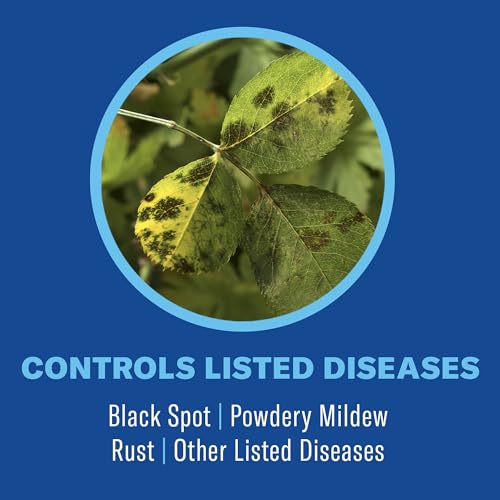 BioAdvanced 3-in-1 Insect, Disease & Plant Mite Control, Ready-to-Spray, 32 FOZ