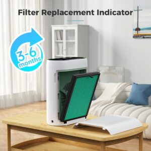 AROEVE Air Purifier with Two Filter(One Basic Version & One Pet Dand Version)