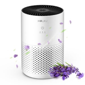 20db air purifiers for bedroom home, hepa 13 air purifier with aromatherapy for better sleep, air cleaner filter 99.99% smoke, allergies, pet dander, odor, dust, office, desktop (white air purifier)