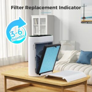 AROEVE Air Purifier with Two Filter(One Basic Version & One Standard Version)