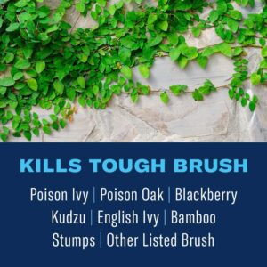 BioAdvanced 800600B Extended Control Brush Ivy Killer, Also Kills Poison Oak, BlackBerry, Kudzu and More, Concentrate, 32 oz