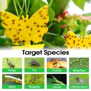 Cleanuper 58 Pcs Flying Insect Traps for Plants,Indoors, Outdoors, Kitchen, Yellow Sticky Traps for Fungus Gnat, Fly and Fruit Fly, Flying Insects, Non-Toxic & Odorless, Kid & Pet Safe, Economic Pack