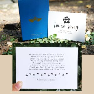 Pet Memorial Suncatcher, Dog Memorial Gifts, Pet Loss, Pet Sympathy, Thoughtful Dogs and Cats Remembrance, Bereavement Gifts