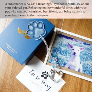 Pet Memorial Suncatcher, Dog Memorial Gifts, Pet Loss, Pet Sympathy, Thoughtful Dogs and Cats Remembrance, Bereavement Gifts