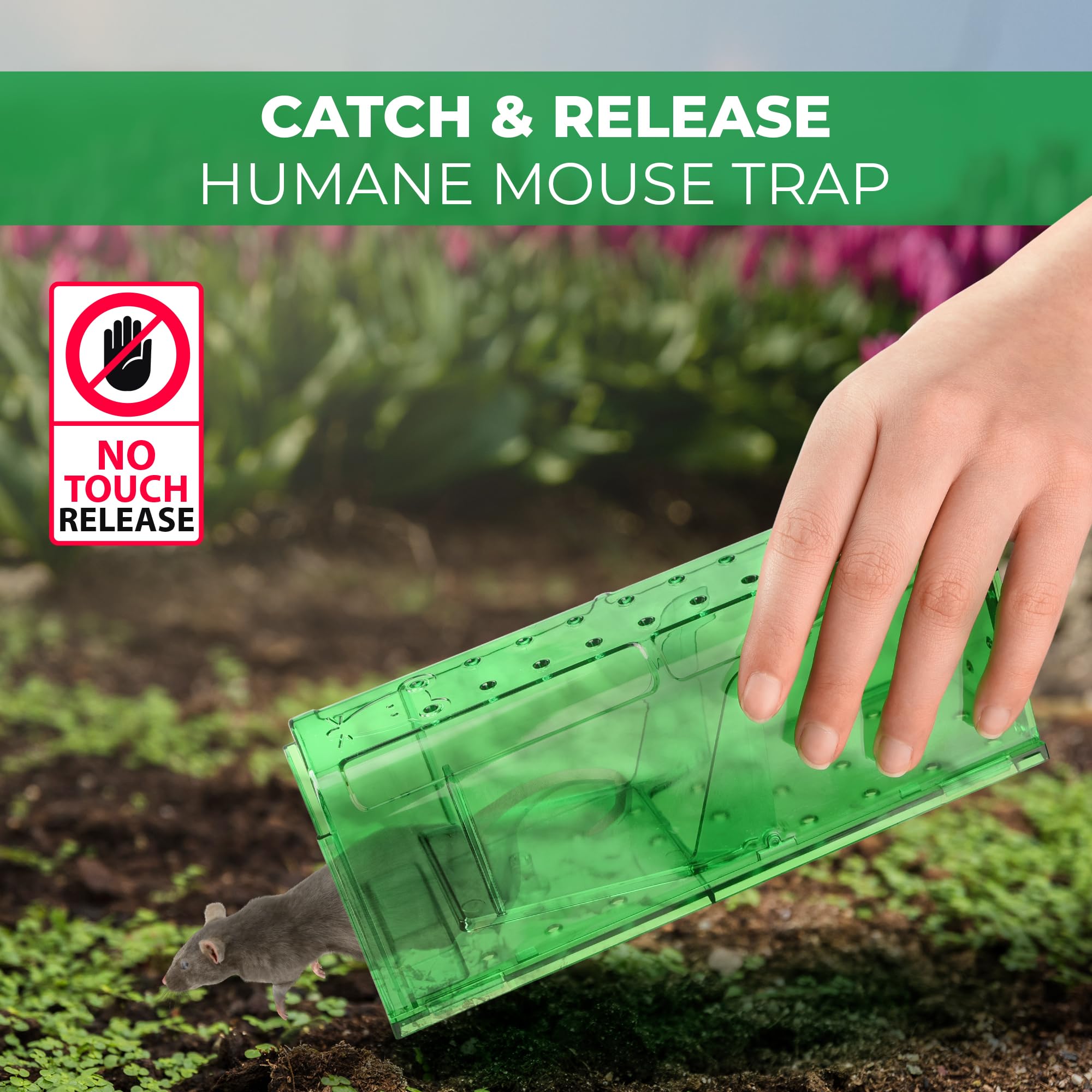 Humane Mouse Trap Pack of 4 - Live Mouse Traps Catch and Release Trap for Indoor and Outdoor Use - Reusable Mouse Traps, Safe & Effective No Kill Mouse Traps - Humane Mouse Traps Catch and Release