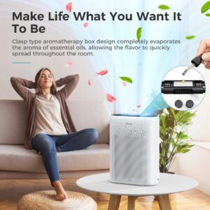 AROEVE Air Purifier with Two Filter(One Basic Version & One Pet Dand Version)