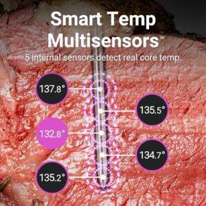 MEATER Pro / 2 Plus: Wireless Bluetooth Smart Meat Thermometer | 1000°F Open Flame Grilling | Extra Long Range | Multi Sensors | Certified Accuracy | BBQ, Oven, Grill, Smoker, Air Fryer, Deep Fryer